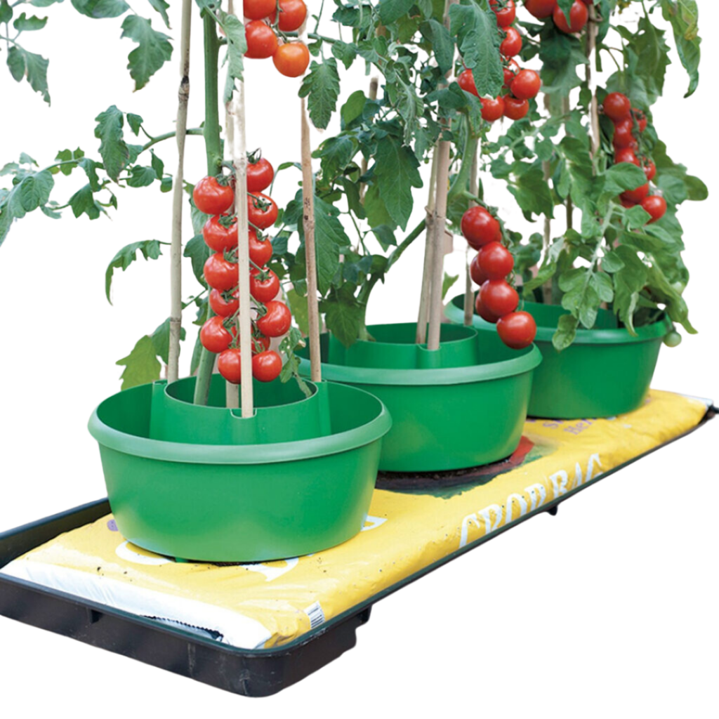 Garland Plant Halos 3-setts vanningssystem
