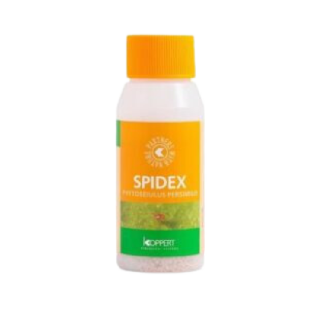 Spidex 2000 stk - mot spinnmidd