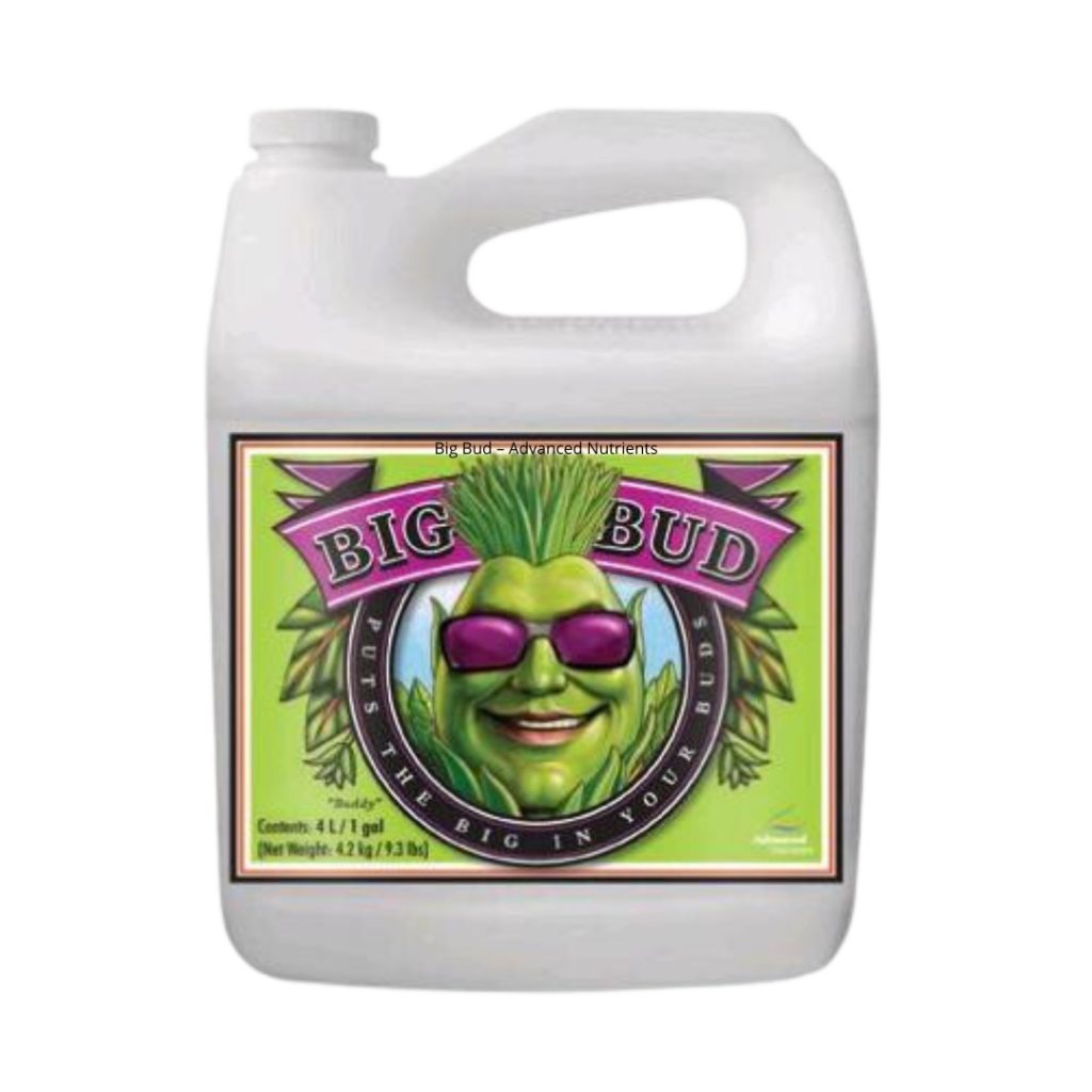 Big Bud - Advanced Nutrients