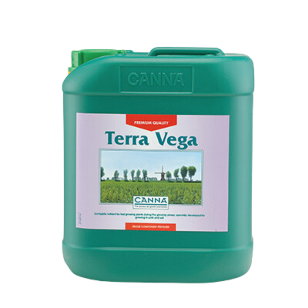Canna Terra Vega