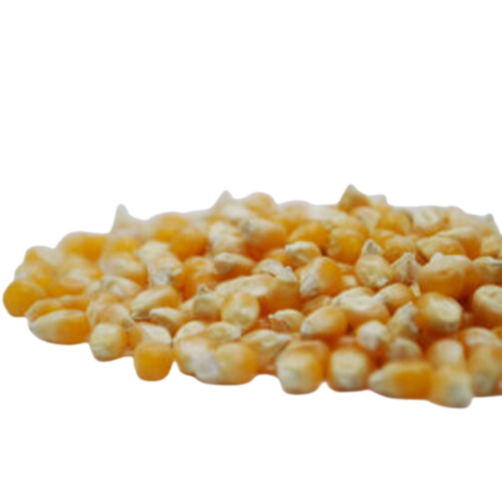 Mais