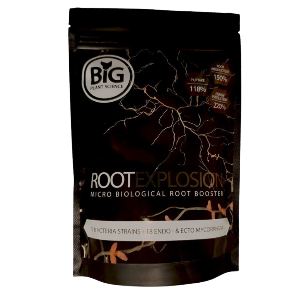 ROOT EXPLOSION - Big Plant Sceince
