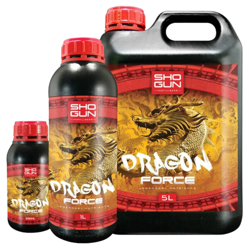 SHOGUN - Dragon Force