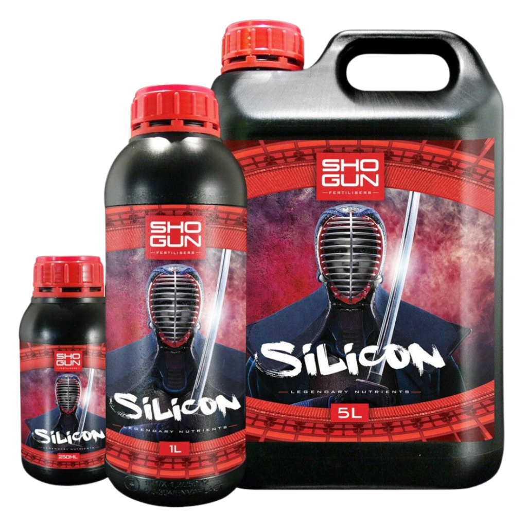 SHOGUN - Silisium