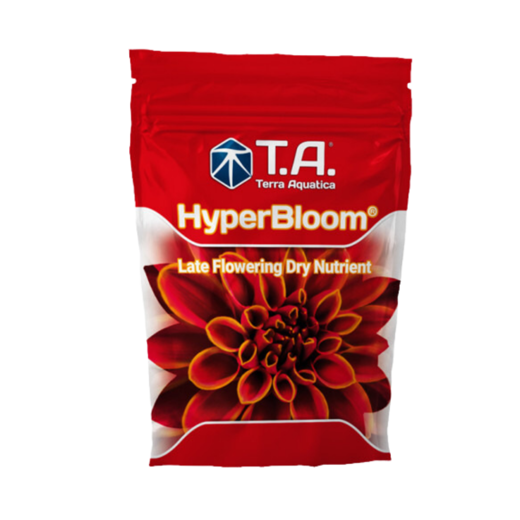 T.A Hyper Bloom