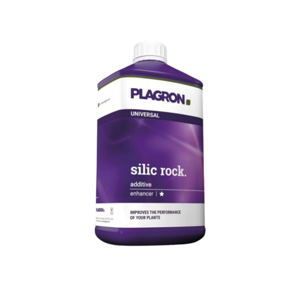 silic rock - Plagron
