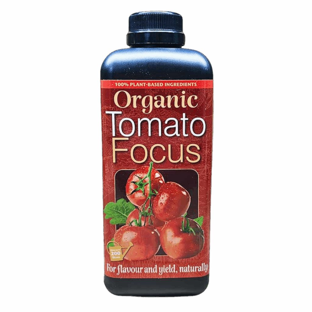 Organisk Tomatfokus