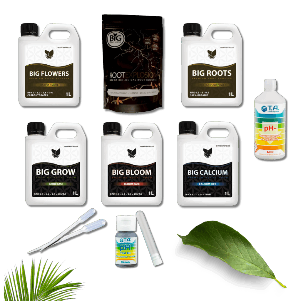 Komplett Basic Kit Startpakke – Big Plant Science