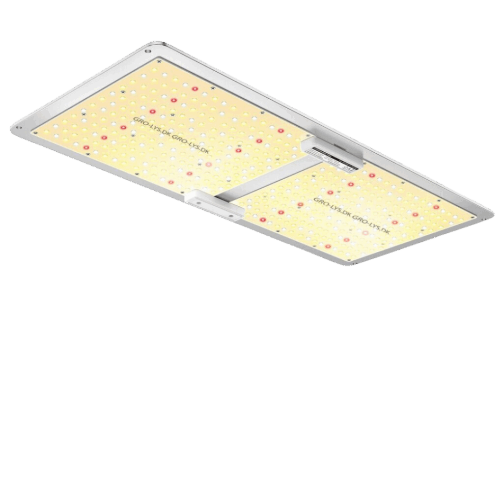 Quantum Boards