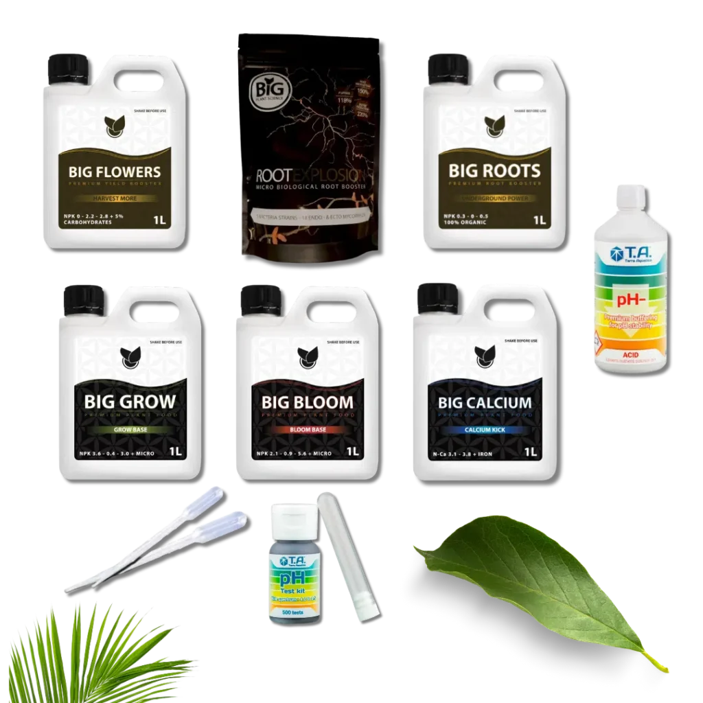 Komplett Basic Kit Startpakke – Big Plant Science