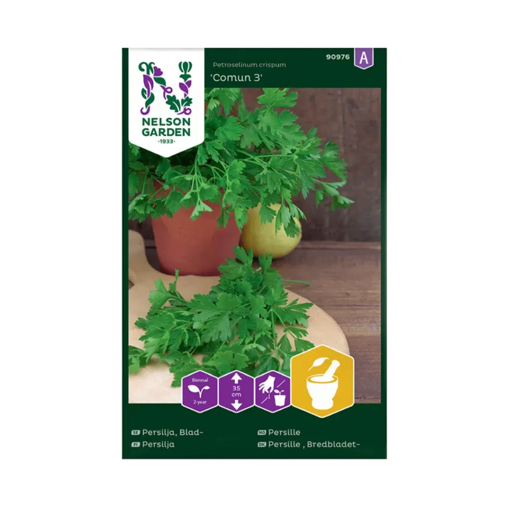 Glattbladet persille