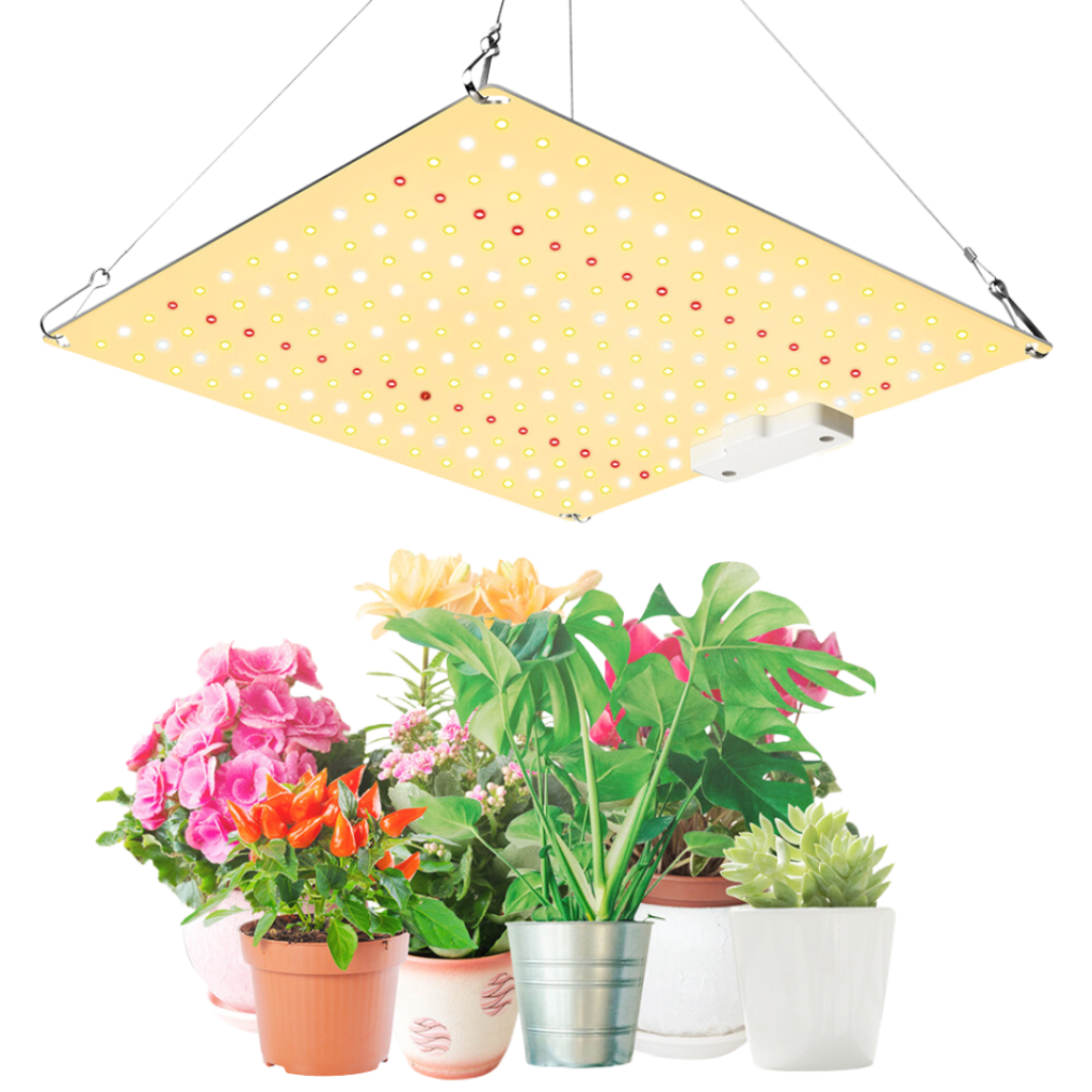 LED-lys vekst og blomstring – 50W