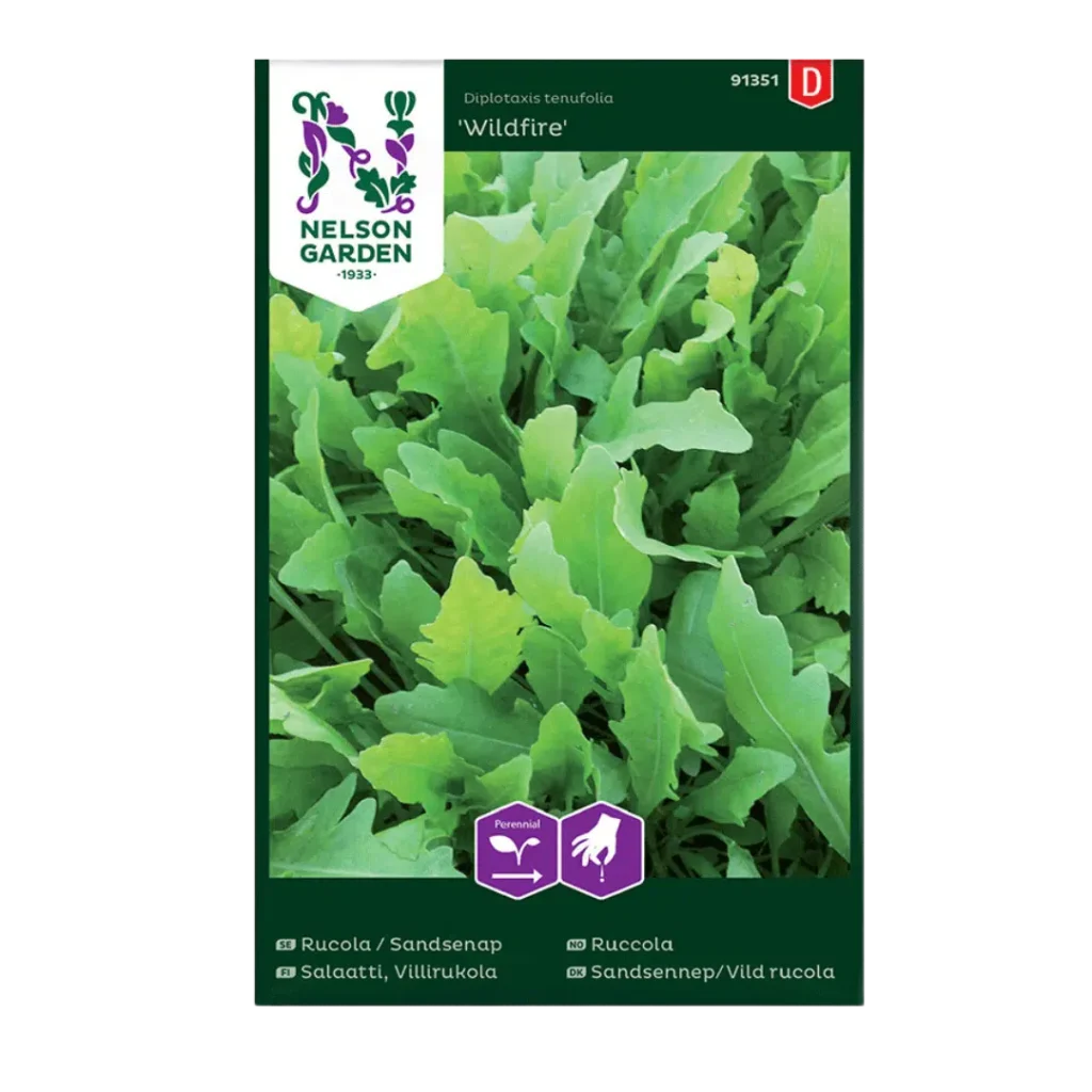 Sandsennep - Wildfire