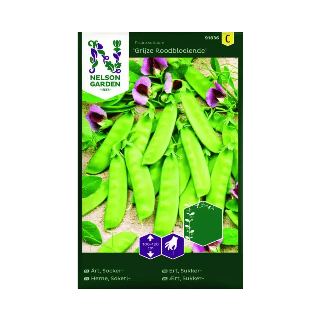 Sukkerert – Grijze Roodbloeiende