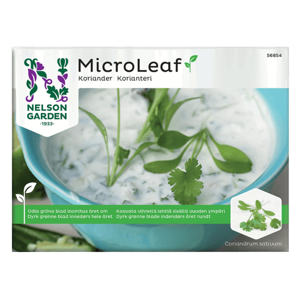 Korianderspire