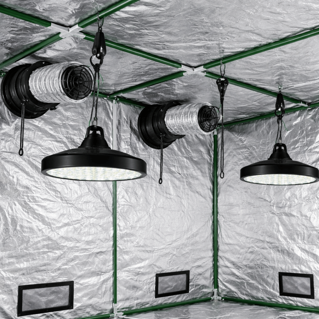 Grow-Tent-300x300x200-cm-600D-Mylar-19-mm-staenger-2