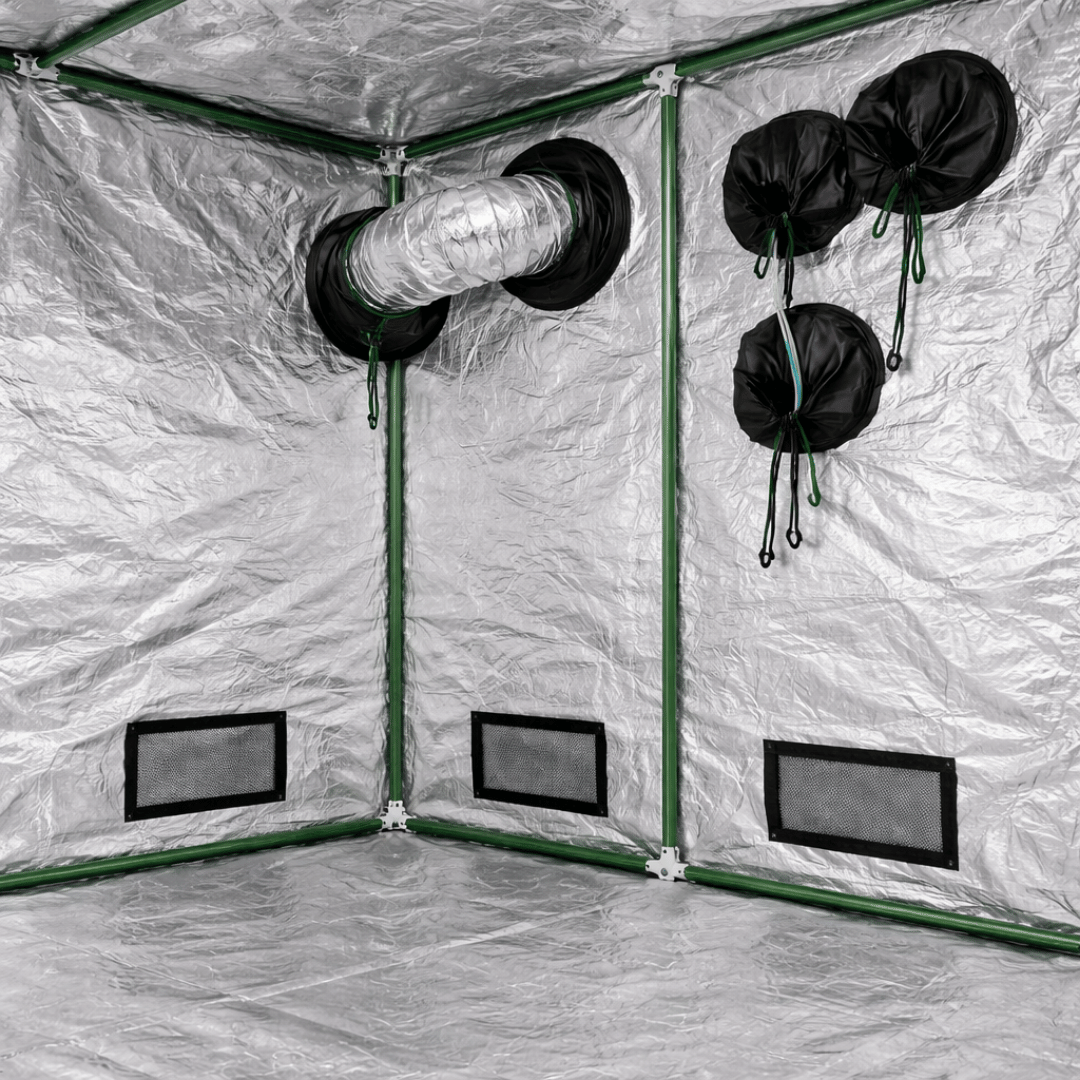 Grow-Tent-300x300x200-cm-600D-Mylar-19-mm-staenger-3