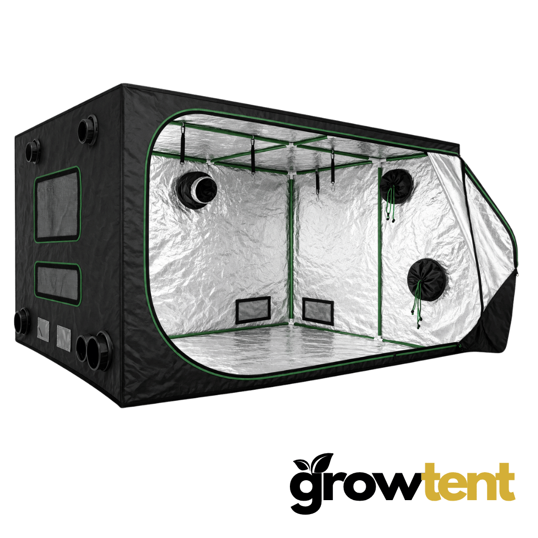 Grow-Tent-300x300x200-cm-600D-Mylar-19-mm-staenger-5