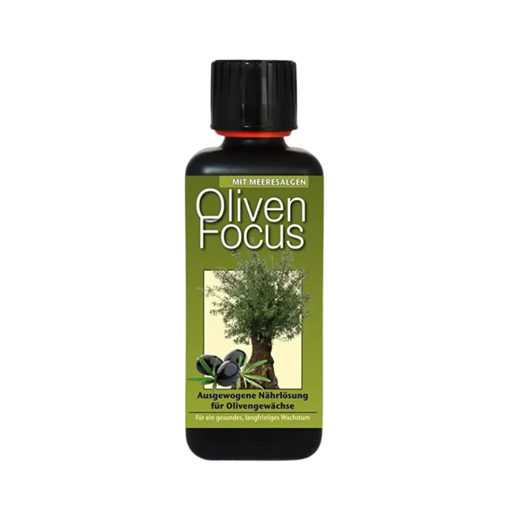 Olivenfokus 1L