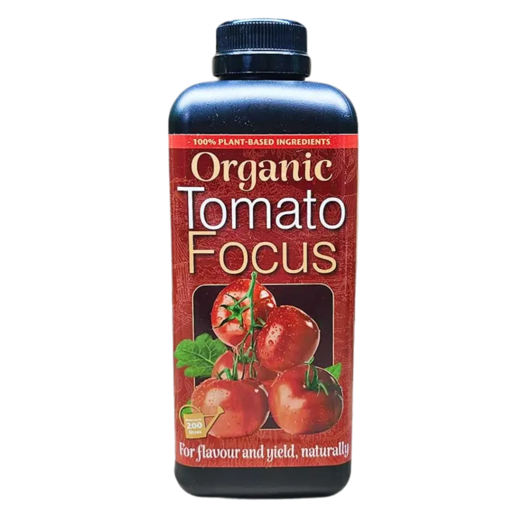 Økologisk Tomato Focus