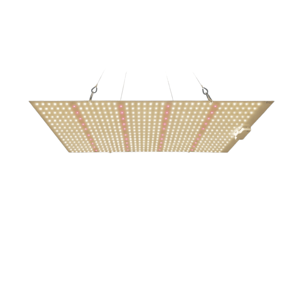 LED-lys vekst og blomst – 240W