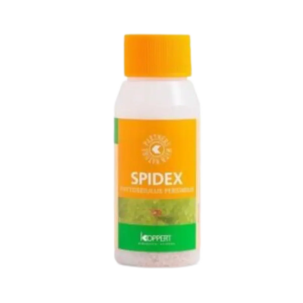 Spidex 2000 stk - mot spinnmidd