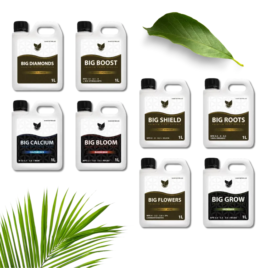 Komplett Premium Kit - Big Plant Science