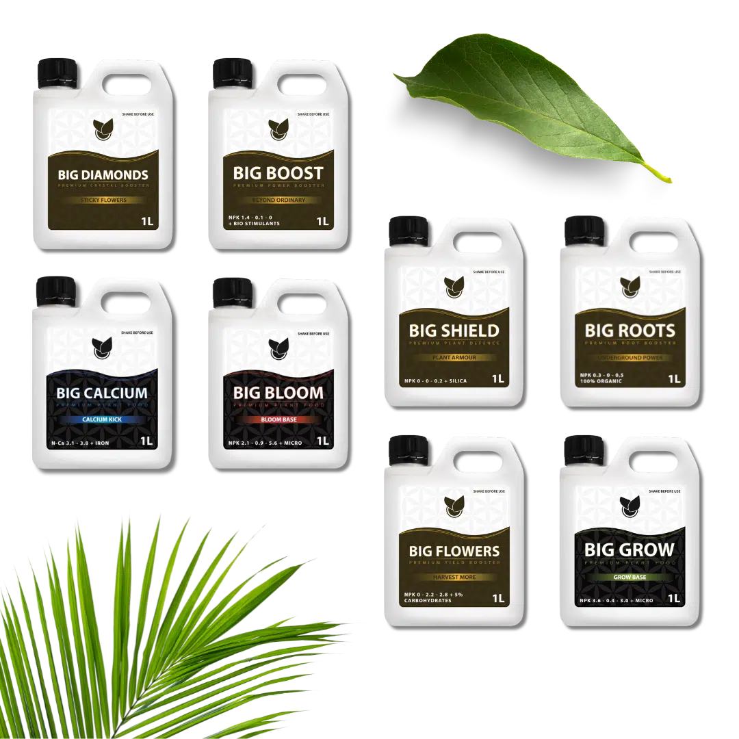 Komplet-Premium-Kit-–-Big-Plant-Science-ny-